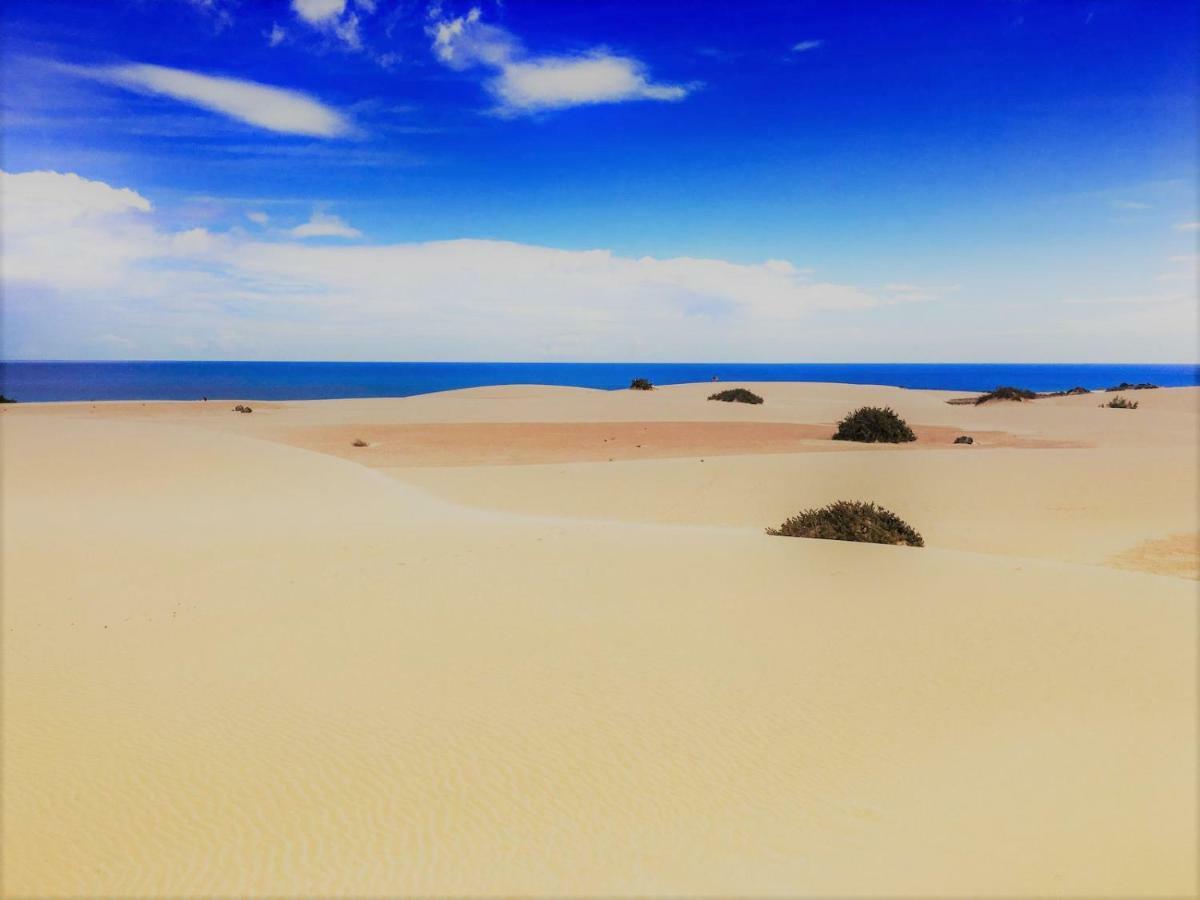 Corralejo Sun 202 Lägenhet Exteriör bild